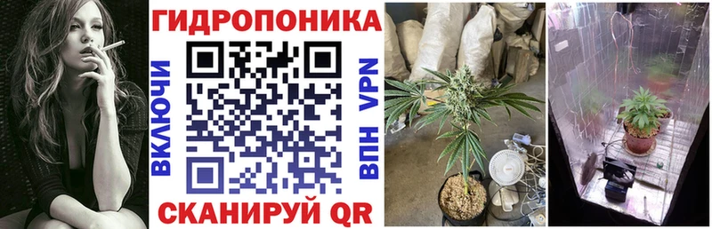МЕФ Кизляр