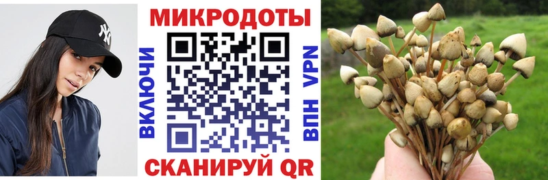 Галлюциногенные грибы прущие грибы  закладки  Кизляр 